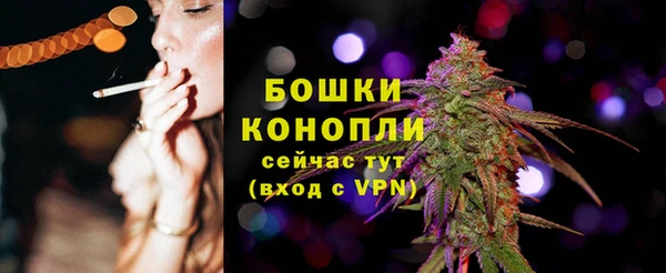 гашик Инсар