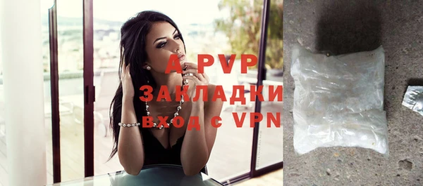 гашик Инсар