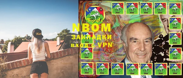 гашик Инсар