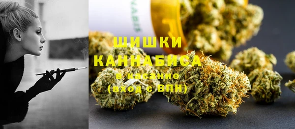 гашик Инсар
