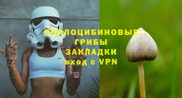 гашик Инсар