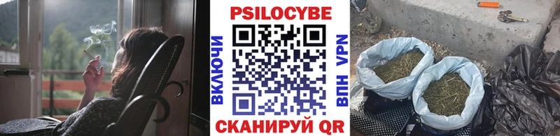 Галлюциногенные грибы Magic Shrooms  Купить  Завитинск 